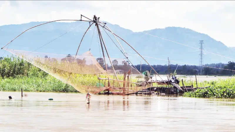 Giải Mã Giấc Mơ: Nằm Mơ Thấy Người Khác Bắt Cá Lóc Điềm Gì? 3 Quan sát bắt cá lóc bên sông.