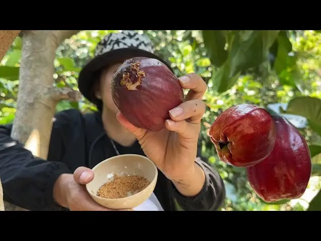 Bàn tay nâng niu trái mận.