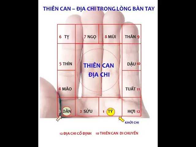 Thiên Địa Nhân: Ba Vòng Tròn Cân Bằng.