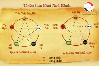 Hướng Dẫn Chuyên Sâu Đặt Tên Con Sinh Giờ Thân Theo Ngũ Hành Chuẩn 3 Biểu tượng Khỉ Địa Chi Thân Ngũ Hành