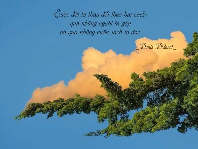 Nằm mơ thấy mèo cắn: Giải Mã Điềm Báo, Hóa Giải An Tâm Sống Thiện 6 Người suy ngẫm về sự thay đổi.