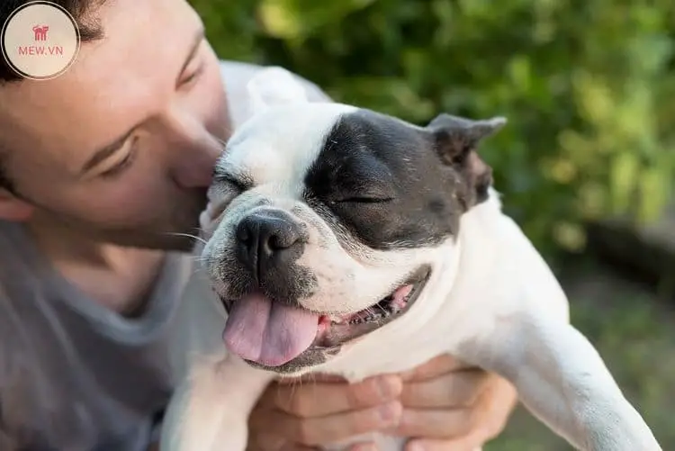 Người âu yếm chó con dễ thương.