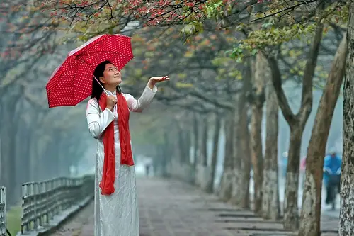 Giải Mã Giấc Mơ Thấy Mưa: Điềm Lành, Điềm Dữ & Cách Hóa Giải Hiệu Nghiệm 6 Thanh thản đi bộ dưới mưa nhẹ.