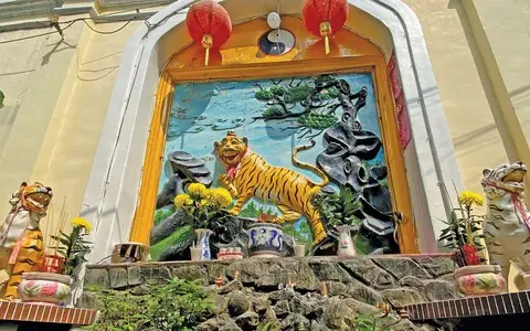 Hổ Vàng Uy Nghi Tâm Linh