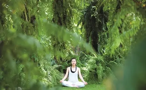 Giải Mã Giấc Mơ Thấy Dòi Trong Người: Điềm Báo Sâu Sắc 7 Thiền định bình yên trong không gian xanh.