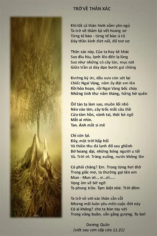 Bàn tay nắm mầm cây hồi sinh giữa đổ nát.