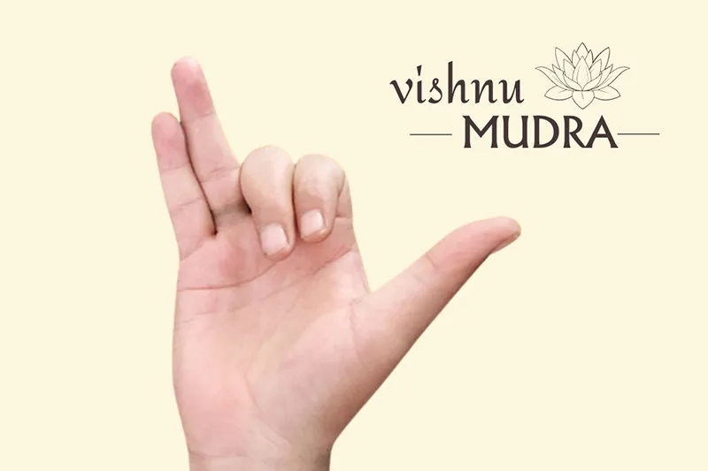 Bàn tay thiền định, an nhiên tĩnh lặng, thiện lương.