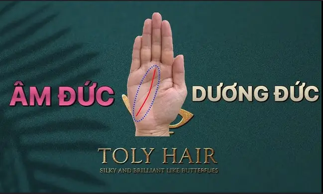 Bàn tay gieo hạt: Biểu tượng hành động tích đức.