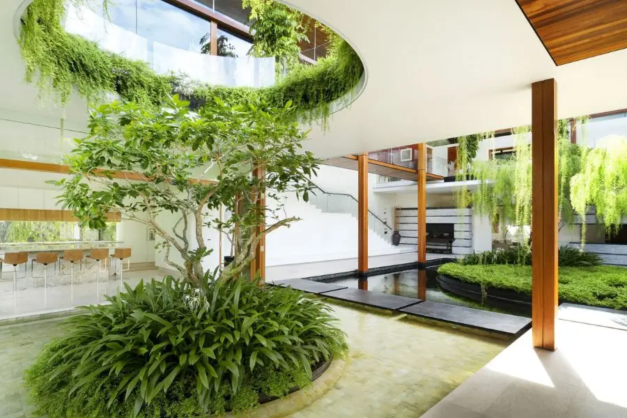 Không gian xanh, ánh sáng tự nhiên: bình yên, thịnh vượng.