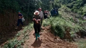 Phụ nữ lo âu, lạc lối giữa rừng.