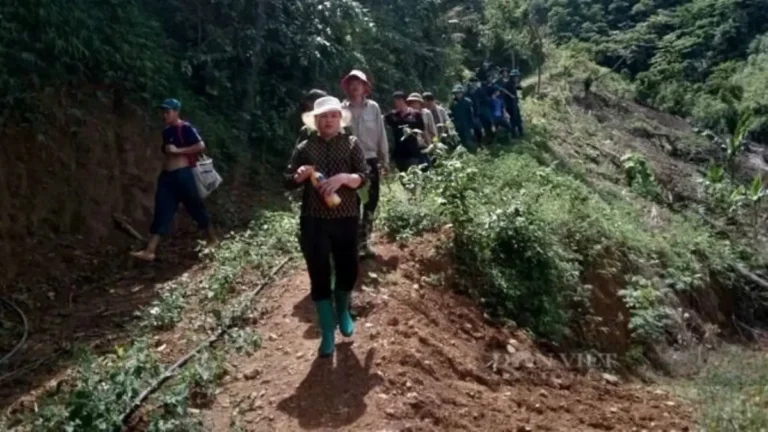 Phụ nữ lo âu, lạc lối giữa rừng.