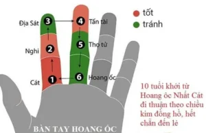 Biểu đồ vòng tròn Hoang Ốc tính tuổi trên lòng bàn tay.