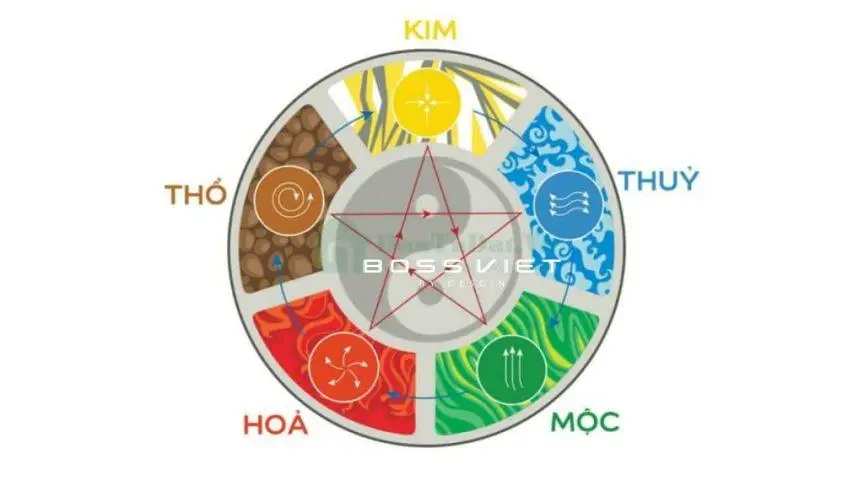 Biểu tượng Âm Dương Ngũ Hành: Cân bằng phong thủy.