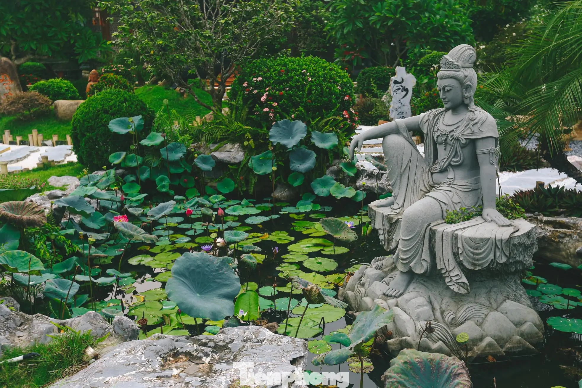 Giải Mã Giấc Mơ Thấy Khỉ: Điềm Báo Nào Đang Chờ Đợi Bạn? 6 Khu rừng yên bình, không gian tâm linh thanh tịnh.