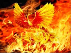 Phượng Hoàng rực rỡ, tái sinh may mắn.