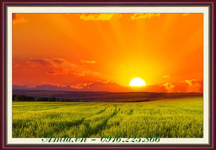 An Tâm Sống Thiện: Tranh phong cảnh bình minh