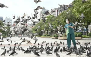 Niềm vui nhận tiền, tương lai tươi sáng.