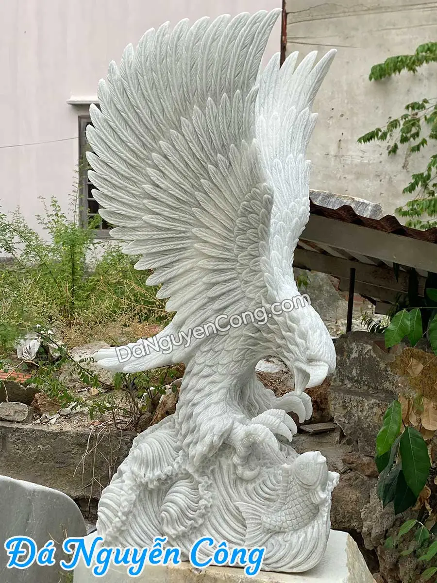 Mắt đại bàng điêu khắc tượng tinh xảo.