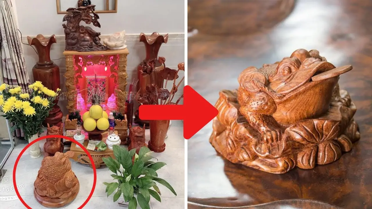 Hóa Giải Nhà Bằng Thiềm Thừ: Cẩm Nang Chuyên Sâu Từ Chuyên Gia 7 Hình ảnh minh họa vị trí đặt Thiềm Thừ bị sai, có dấu X đỏ hoặc biểu tượng cấm.