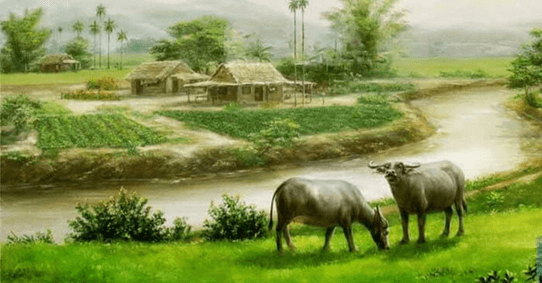 Giải Mã Giấc Mơ Thấy Bò: Điềm Báo Từ Vũ Trụ Và Cách Hóa Giải 4 Bò thanh bình trên đồng cỏ xanh mướt.