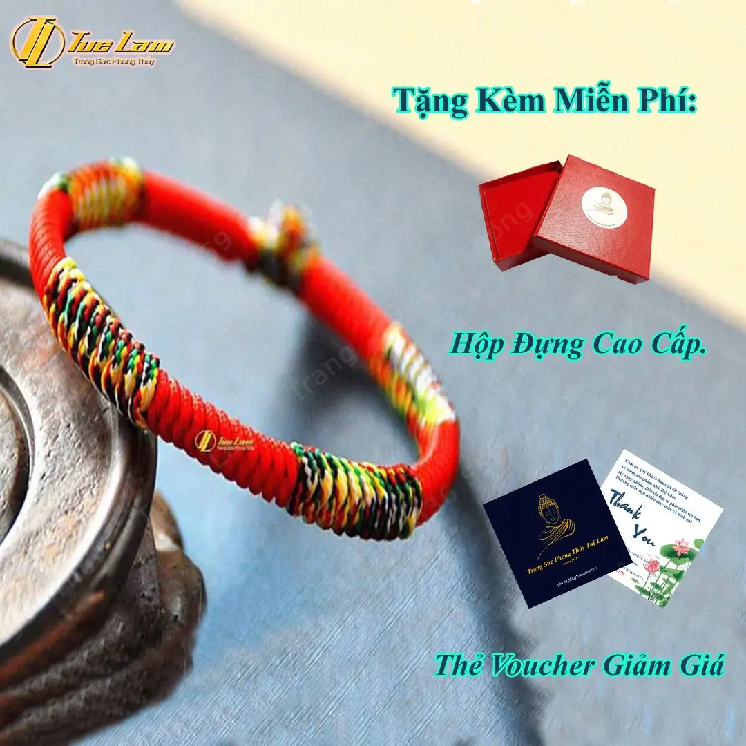 Tý tự tin làm việc máy tính, vòng chỉ đỏ.