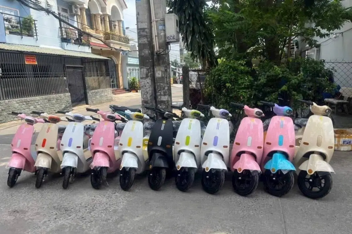 Xe cộ đa dạng màu sắc.