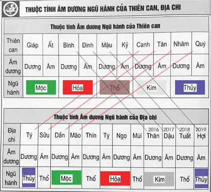 Đặt Tên Con Số Chủ Đạo 7: Hướng Dẫn Phong Thủy Trọn Đời Vận Mệnh 3 Bảng Thiên Can Địa Chi Mệnh Niên