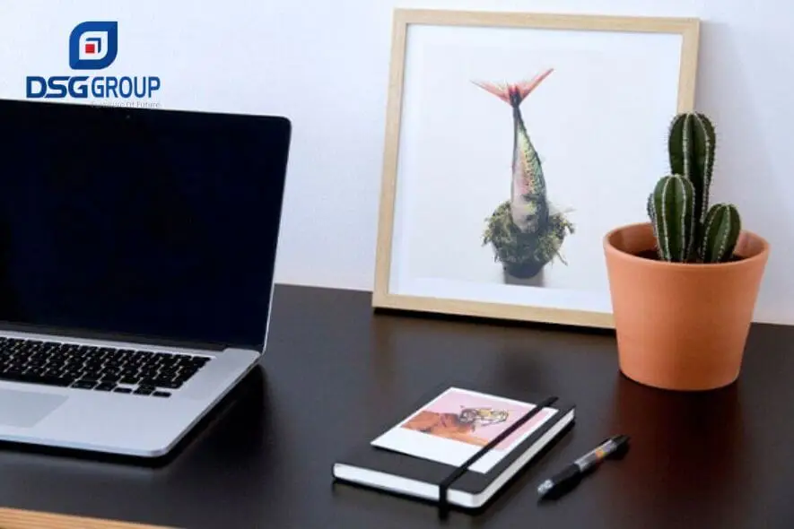 Bàn làm việc với xương rồng cạnh cửa sổ.