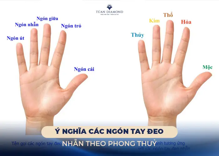 Ý nghĩa các ngón tay phong thủy tâm linh.