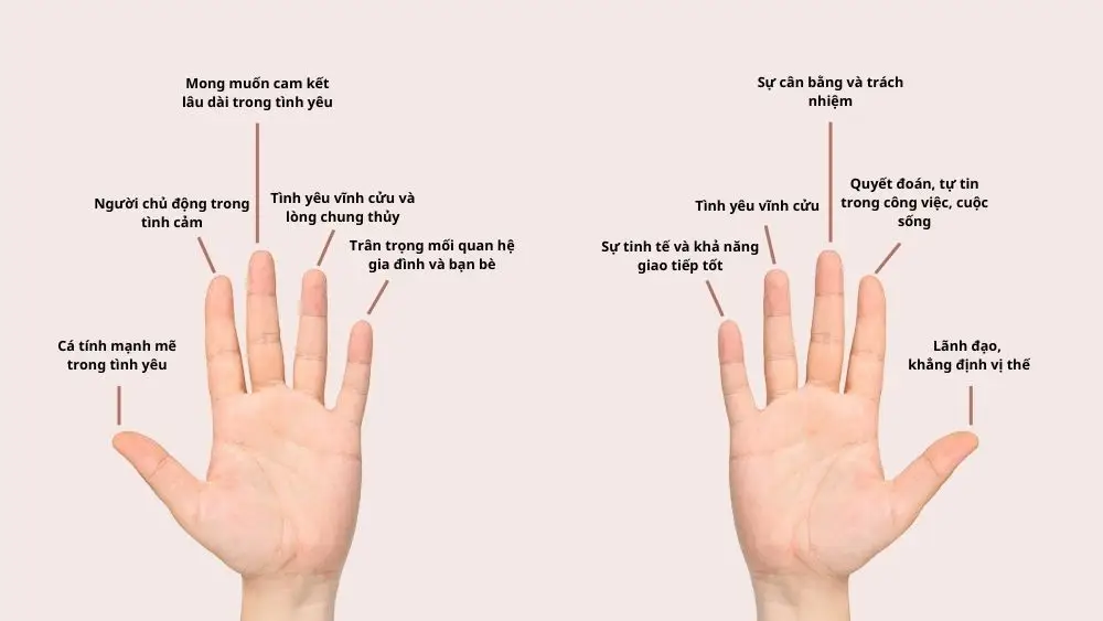 Giải Mã Giấc Mơ Nằm Mơ Thấy Người Ta Cho Trái Cây: Điềm Lành Hay Cảnh Báo? 6 Tài lộc, Tình yêu, Sức khỏe cân bằng trên tay.