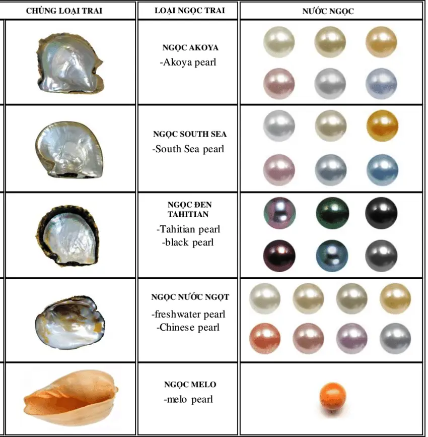 Vòng Ngọc Trai Cầu Bình An: Hướng Dẫn Chuyên Sâu Từ Phong Thủy Chính Phái 6 Ngọc trai đa sắc, kích thước phong phú