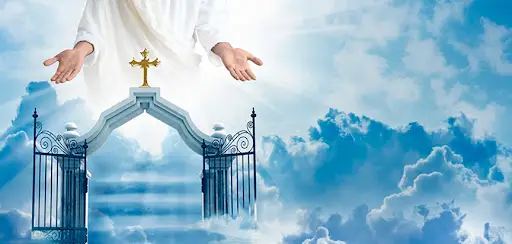 Cánh cửa ánh sáng: Hy vọng tái sinh.