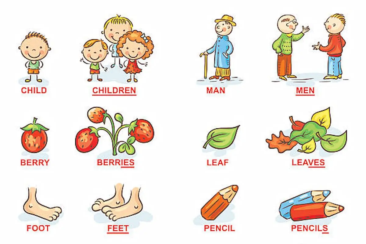 Danh Từ Số Nhiều Bất Quy Tắc | Tổng Hợp Chi Tiết và Quy Luật Ngữ Pháp Tiếng Anh