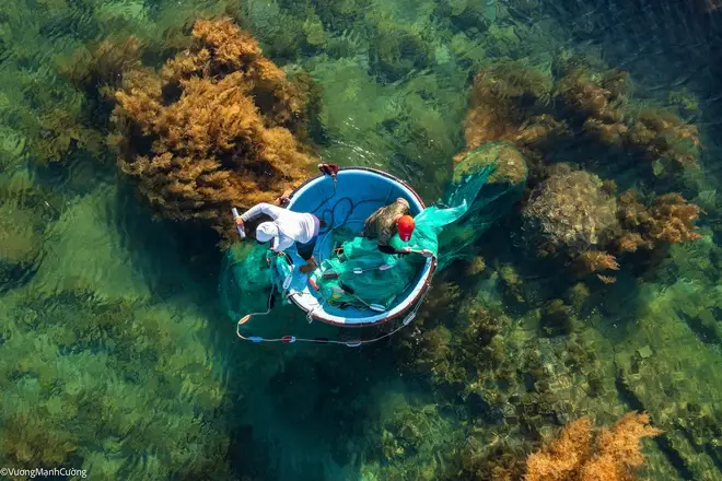 Nằm Mơ Thấy Bắt Được Nhiều Cá: Lời Giải Đáp Từ Góc Nhìn Phong Thủy 6 Người bắt cá thành công với lưới đầy.