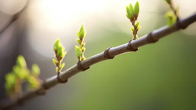 Sự cân bằng hài hòa trong cuộc sống