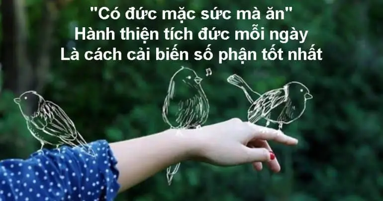 Nằm Mơ Thấy Rụng Tóc: Giải Mã Điềm Báo, Hướng Dẫn An Tâm 7 Gieo hạt thiện, tích đức hành thiện.