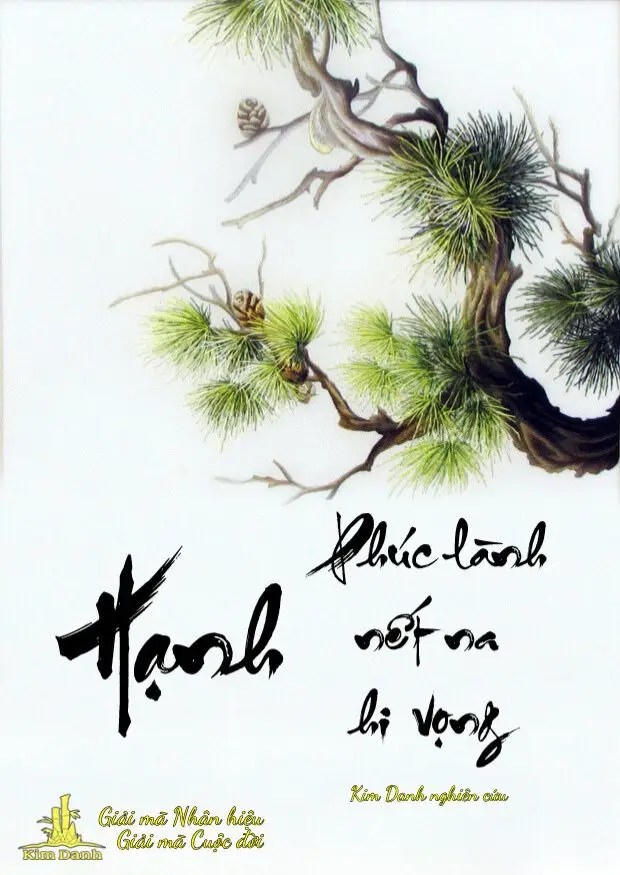 Ý Nghĩa Tên Hạnh An | Hạnh Phúc, Bình An Và Phong Thủy Chính Xác