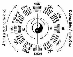 Hài Hòa Âm Dương Thiên Địa Nhân