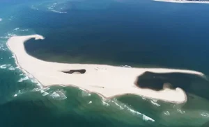 Cua biển bí ẩn, cứng cáp trên cát.