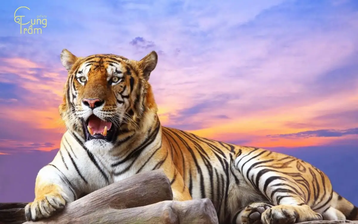 Nằm Mơ Thấy Hổ: Giải Mã Điềm Báo & Hướng Hóa Giải An Tâm 4 Suy tư về giấc mơ hổ