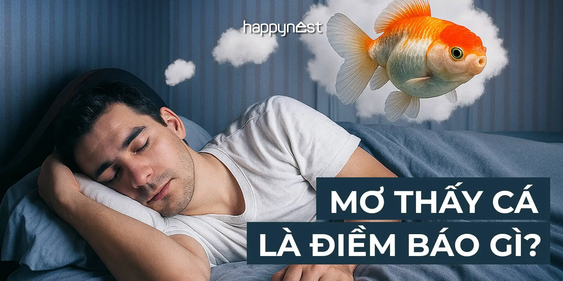 Nằm Mơ Bắt Cá: Giải Mã Điềm Báo, Hóa Giải Nỗi Lo, Sống An Tâm 5 Bảng so sánh ý nghĩa cá trong giấc mơ