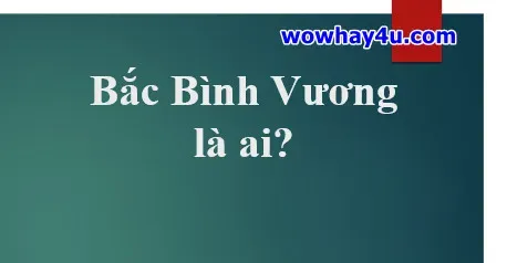 Chân dung Vua Quang Trung Nguyễn Huệ, vị anh hùng dân tộc từng mang danh Bắc Bình Vương