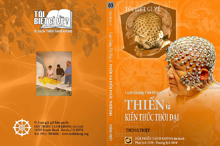 Ý Nghĩa Tên Trần Tuệ Mẫn | Luận Giải Chuyên Sâu Phong Thủy Chính Thống