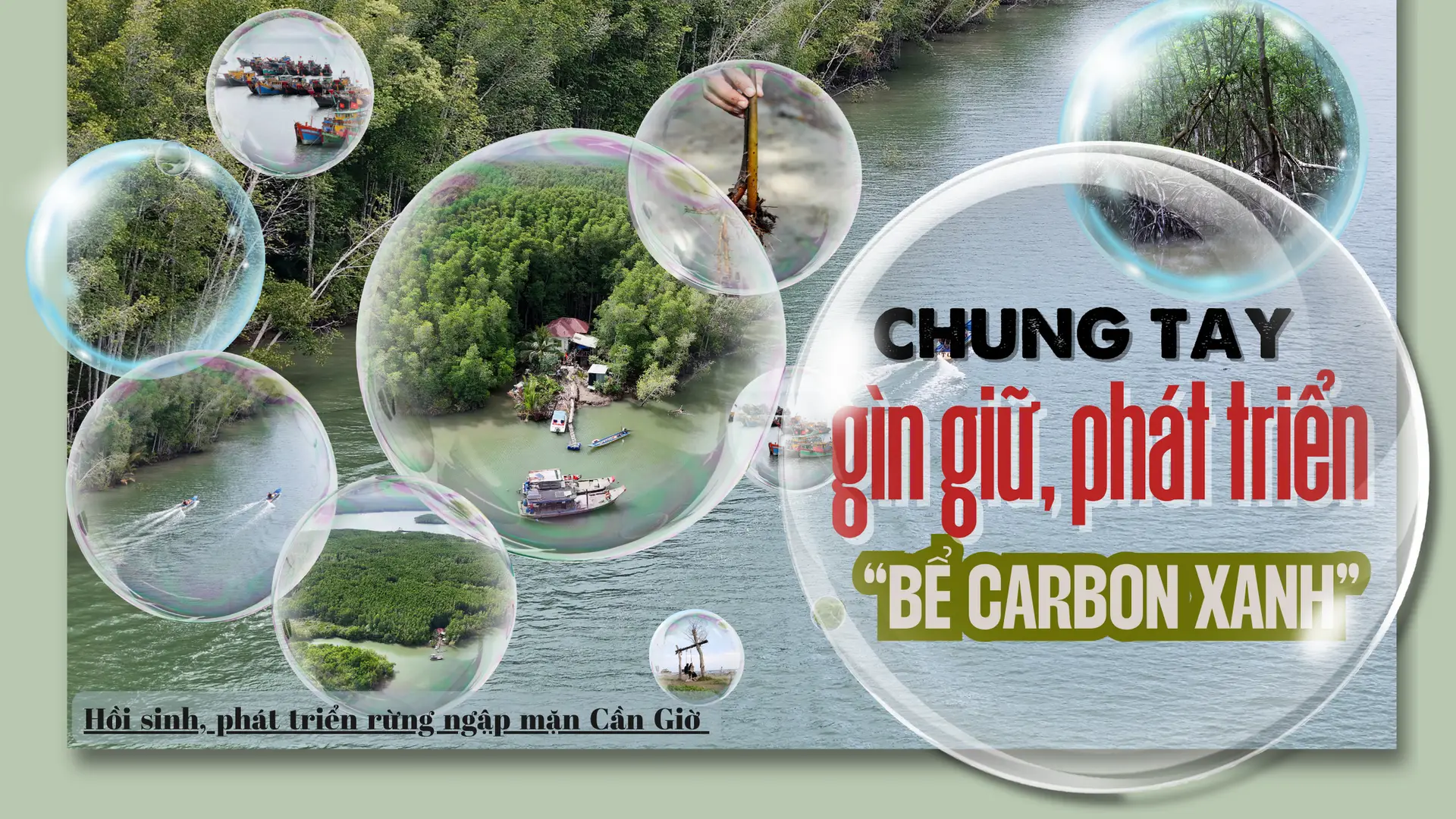 Giải Mã Giấc Mơ Thấy Nước Sông: Điềm Báo & Hóa Giải Tâm An 6 Sông cạn, cây khô, mầm sống hồi sinh.