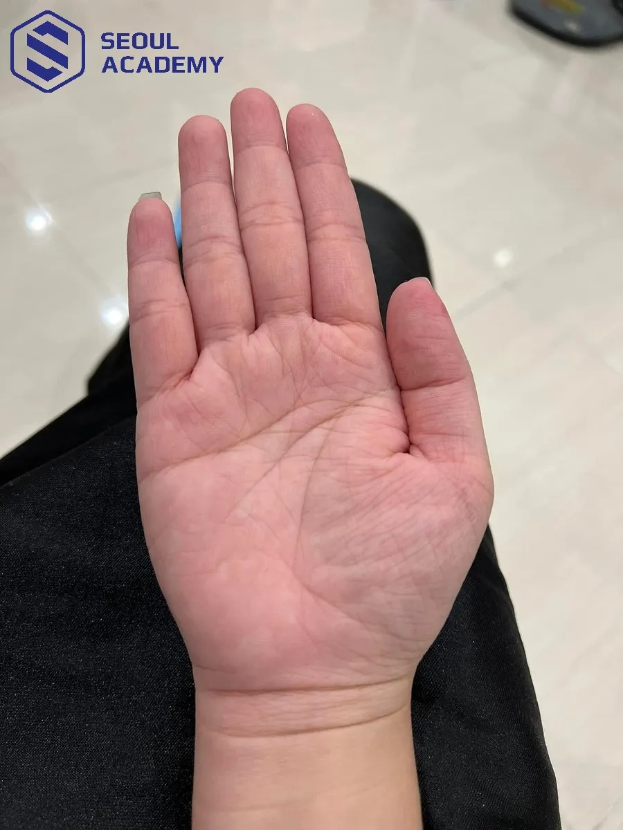 Bàn tay nâng niu mô hình thuyền cẩn trọng.