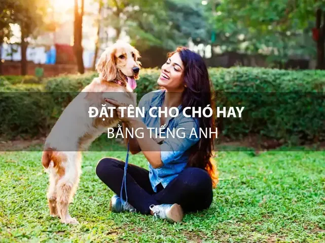 Tên Tiếng Trung Cho Chó Cưng theo ý nghĩa may mắn và tài lộc