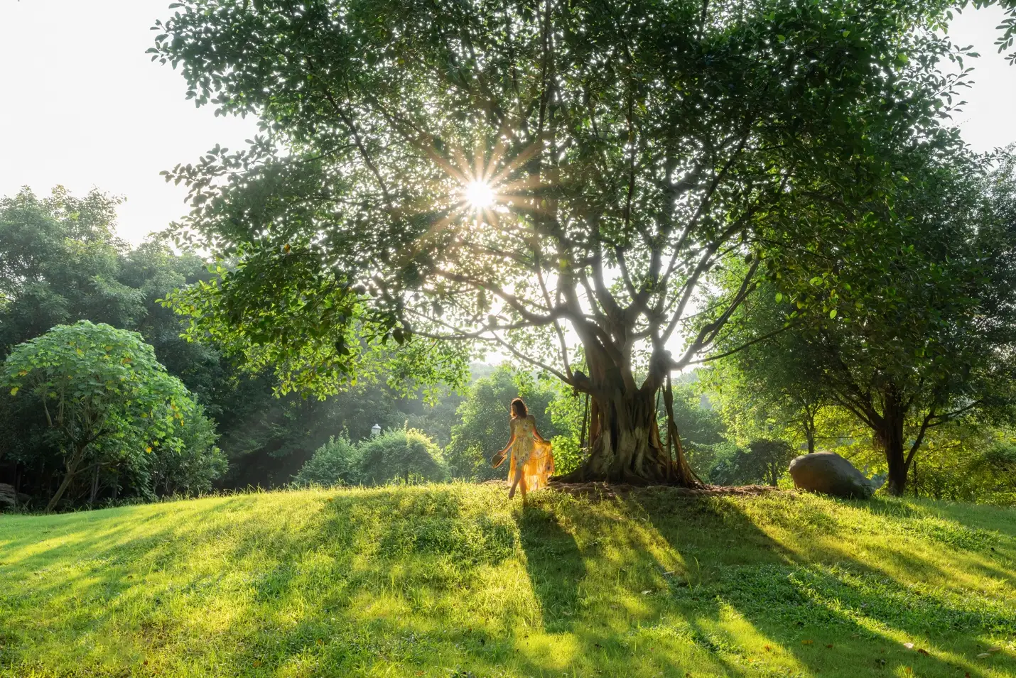 Giải Mã Giấc Mơ: Nằm Mơ Thấy Rụng Răng Hàm Trên Không Chảy Máu 7 Thiền an yên giữa thiên nhiên.