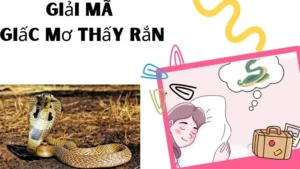 Giấc Mơ Thấy Rắn Bí Ẩn Tâm Linh
