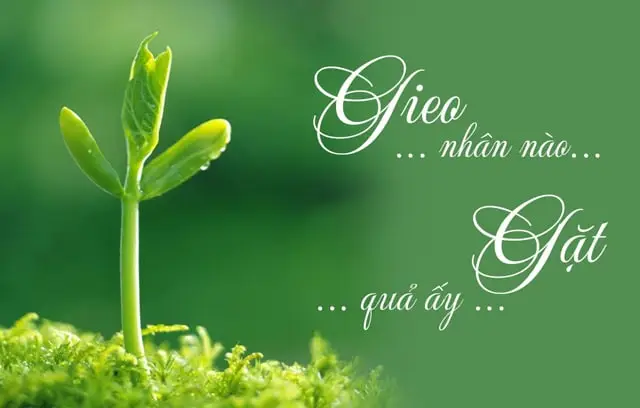 Nằm mơ rắn cắn: Giải mã điềm báo tài lộc hay rắc rối cuộc sống? 5 Gieo hạt thiện lành, thu hoạch nhân quả tốt đẹp.