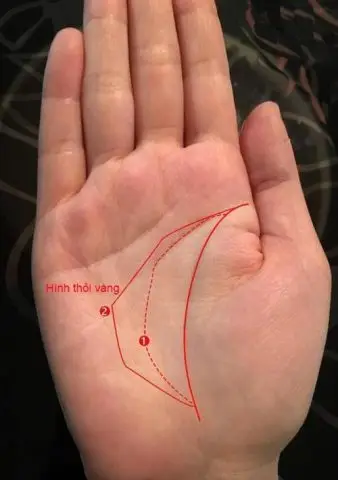 Bàn tay nhận tiền vàng: Biểu tượng may mắn, tài lộc